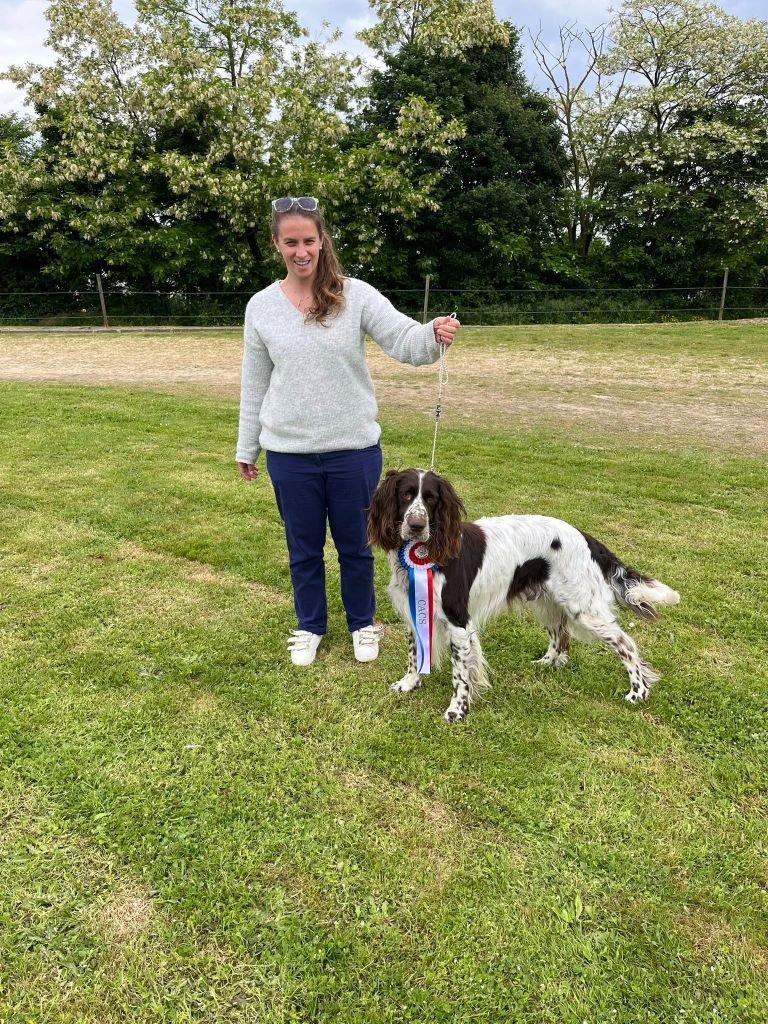 Spartacus Of Falnette History